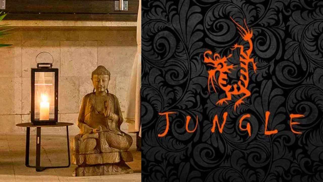 Campanha Jungle Casa Decor Vasos e Moveis